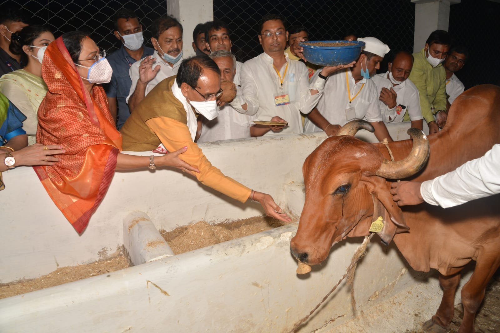 सीएम-सपत्नीक दयोदय गौशाला पहुंचे, आचार्य विद्यासागर जी का आशीर्वाद लिया 3 WhatsApp Image 2021 09 05 at 19.08.14 1 1