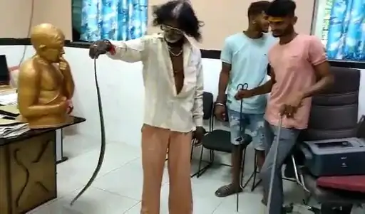 SDM के चैंबर में घुसा सांप:प्रिंटर उठाते ही ऑपरेटर पर गिरा सांप, चीख-चिल्लाहट में बदला माहौल, कुछ देर पहले ही निकले थे 1 90785e29 940a 41f3 a23d 3eb546cfee79 1634113467