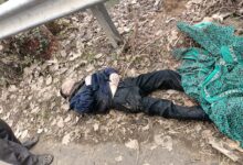 WhatsApp Image 2022 01 12 at 10.54.18