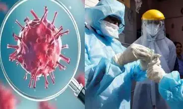 जबलपुर में 6वीं मौत:बीपी सहित कई गंभीर बीमारियों से ग्रसित थे वृद्ध, 453 नए कोविड संक्रमित मिले 12 corona cases 369x246 1