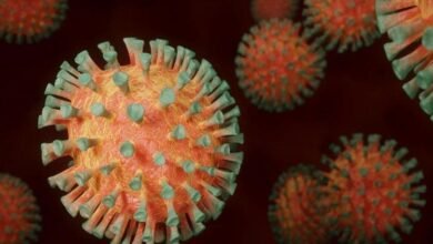 फ्रांस में नया कोरोना वैरिएंट IHU मिला, इससे 12 संक्रमित 11 florona double infection coronavirus and influenza 1641135059