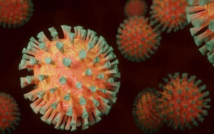 फ्रांस में नया कोरोना वैरिएंट IHU मिला, इससे 12 संक्रमित 1 florona double infection coronavirus and influenza 1641135059
