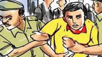 15461775505c28cc0e6f2c38.96886625