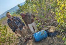 WhatsApp Image 2022 02 03 at 13.07.25