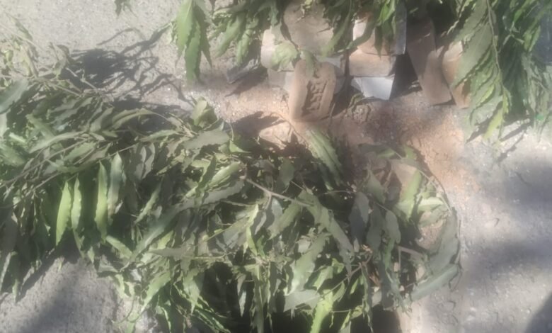 एमआर-4 में 10 फिट का गहरा गड्ढा : हादसे को दे रहा खुला आमंत्रण 1 WhatsApp Image 2022 02 06 at 2.25.59 PM 1