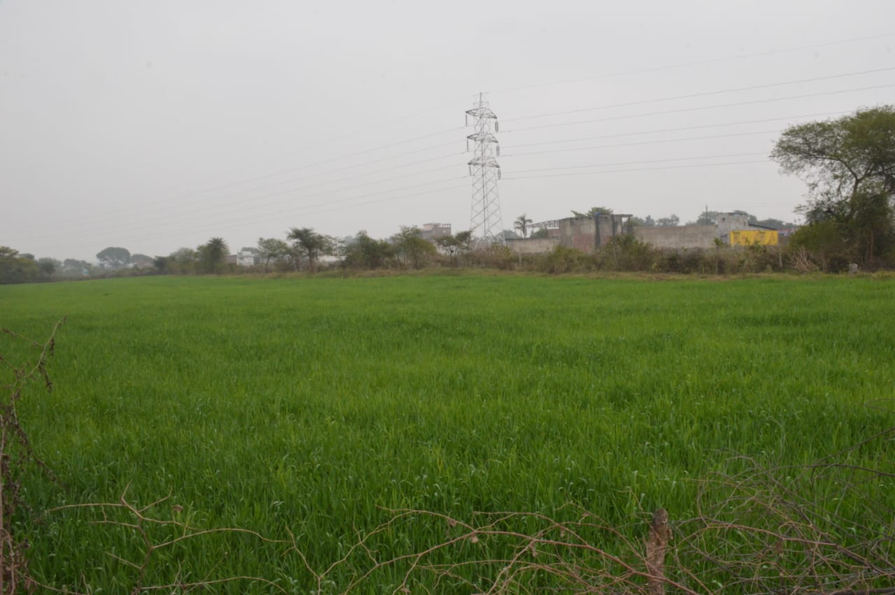 WhatsApp Image 2022 02 10 at 13.00.32