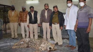 इंद्राना के जंगल में तेंदुआ की मौत : शिकारियों ने करंट लगाकर किया शिकार , वन विभाग में हड़कंप 7 WhatsApp Image 2022 02 15 at 11.18.29 AM