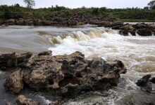 घुघरा फॉल में बहे युवक का 20 घंटे बाद भी सुराग नहीं: सर्चिंग ऑपरेशन जारी 10 images 18