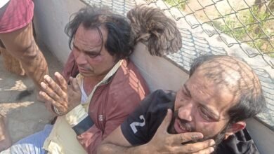 WhatsApp Image 2022 03 09 at 15.42.28