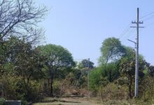 WhatsApp Image 2022 03 13 at 12.53.24 PM