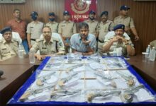 WhatsApp Image 2022 03 14 at 5.20.21 PM