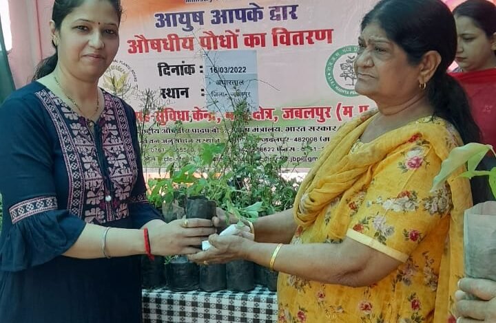 औषधीय पौधों का क्या महत्व आयुष आपके द्वार कार्यक्रम में जाना 1 WhatsApp Image 2022 03 16 at 20.02.19 1