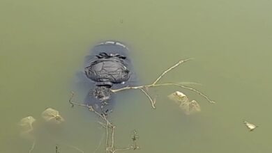 WhatsApp Image 2022 03 21 at 1.03.38 PM