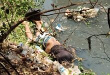 WhatsApp Image 2022 03 27 at 1.52.58 PM