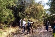 WhatsApp Image 2022 03 27 at 2.03.46 PM