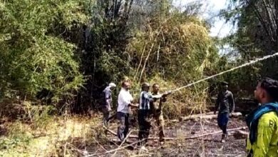 WhatsApp Image 2022 03 27 at 2.03.46 PM