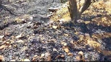 WhatsApp Image 2022 03 30 at 2.45.14 PM