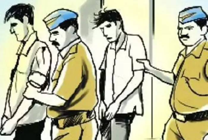 सिहोरा में चोरी हुई 407 गोरहा के जंगल से बरामद : दो शातिर चोरों ने वाहन चुराकर झाडिय़ों में छुपाया था 1 navbharat times 1
