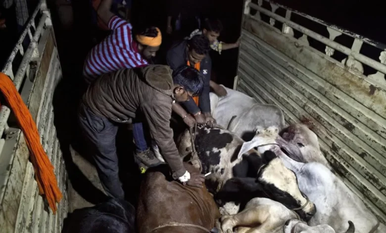 गौरक्षा के नाम पर 12 से ज्यादा गाडिय़ों को किया चकनाचूर : पुलिस ने 4 आरोपियों को हिरासत में लिया 1 201902asia india main