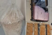 24df8420 c663 4c93 ab35 0c472139e05a