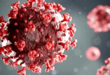 Can Omicron XE cause Fourth wave in India know what expert and cases says