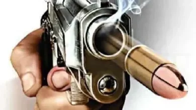 जमीन के लिए भतीजे ने चाची को मार डाला : चार युवकों ने महिला को मारी चार गोली 7 Four people of the same family were shot three killed elderly woman injured