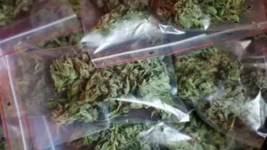 GANJA 1590258836 1590258836