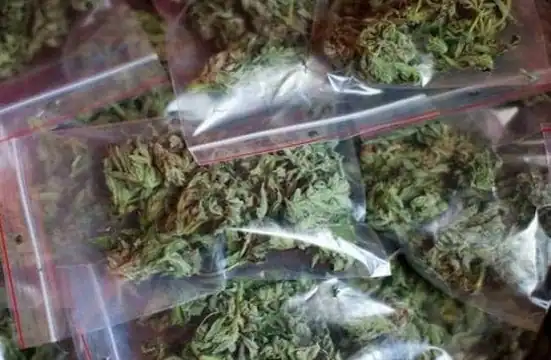 गांजा तस्कर गिरोह के गुर्गे को पुलिस ने दबोचा : ग्राहक को देने जा रहा था सप्लाई 1 GANJA 1590258836 1590258836