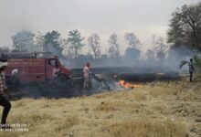 बरेला में 10 एकड़ खेतों की पराली मे भड़की आग: फायर ब्रिगेड के अमले ने बमुश्किल पाया काबू 10 IMG 20220421 WA0041