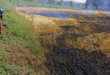 WhatsApp Image 2022 04 17 at 10.15.43 AM