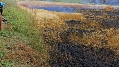 WhatsApp Image 2022 04 17 at 10.15.43 AM