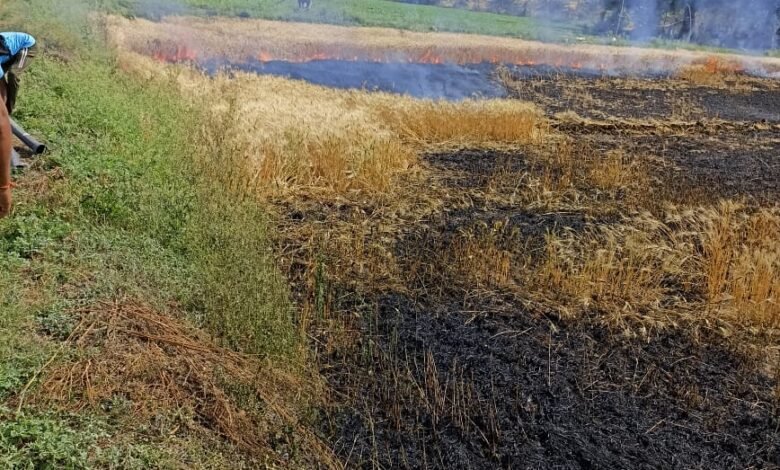 जबलपुर के चरगवां में 40 एकड़ की खड़ी फसल जलकर राख : पीडि़त किसानों ने की मौके पर मुआवजे की मांग 1 WhatsApp Image 2022 04 17 at 10.15.43 AM
