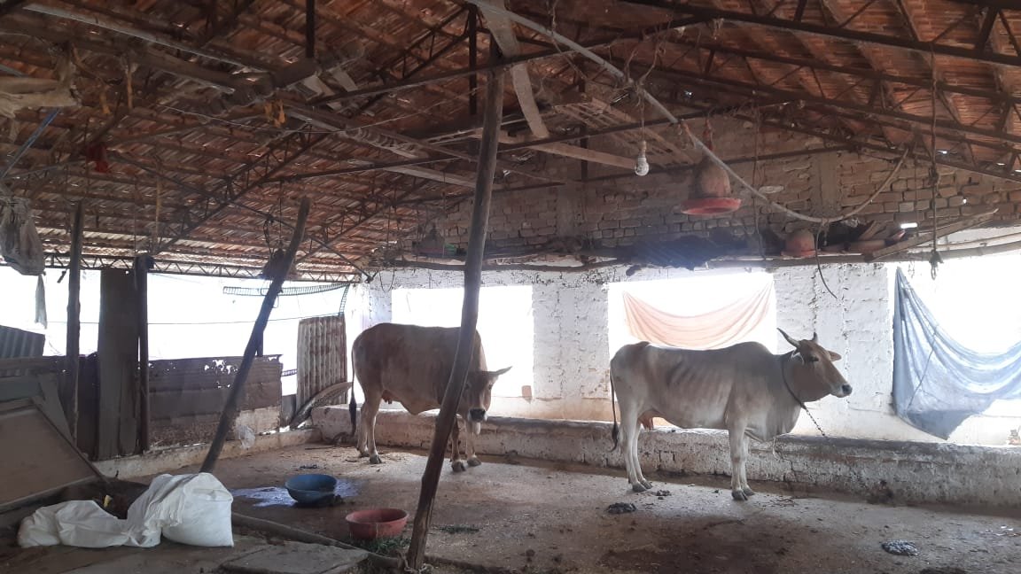 जबलपुर के मनमोहन नगर की 14 करोड़ की इंडस्ट्रियल हब जमीन कब्जामुक्त : आसिफ ने बाउंड्रीवॉल और सड़क बना रखी थी, राजेश ने खोल ली थी गौ-शाला 3 WhatsApp Image 2022 04 20 at 11.58.12 AM