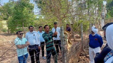 WhatsApp Image 2022 04 30 at 12.17.42 PM