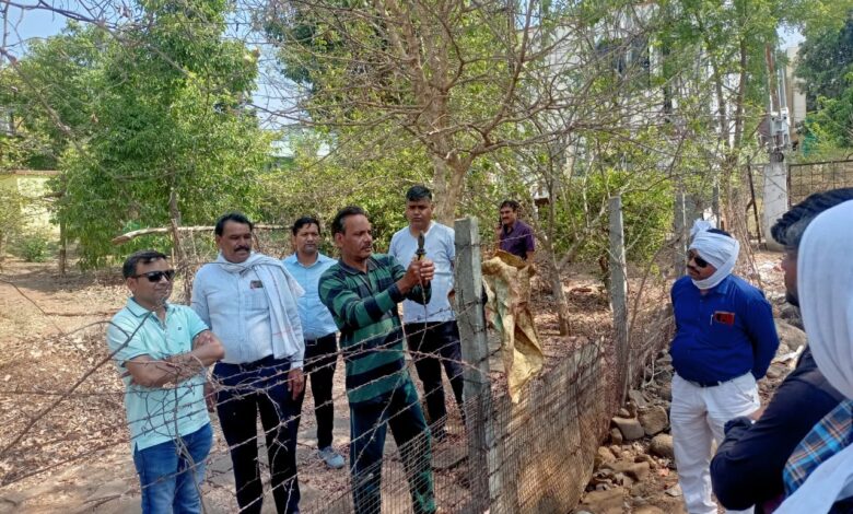 WhatsApp Image 2022 04 30 at 12.17.42 PM