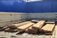 बरगी में सागौन की तस्करी : 5 लाख कीमती लकड़ी की चोरी की पीआरओ 3 दिन बाद 10 WhatsApp Image 2022 04 30 at 12.19.14 PM