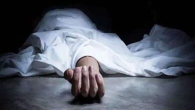 dead bodies 1637981561