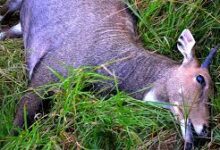 download 2022 04 03T161537.525