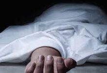 download 2022 04 16T121235.444