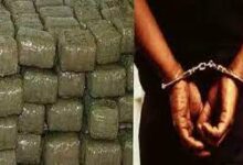 download 2022 04 26T143354.782