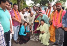 141de698 4acb 453f 828c fa7225da7366