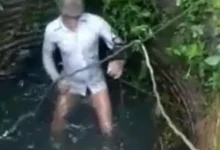 67201fde8faa7aeb177a80c125df94e7