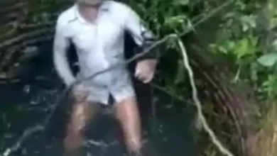 67201fde8faa7aeb177a80c125df94e7