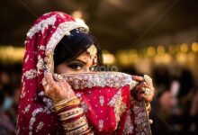 8e19b60c738ff72be44432613a47e877