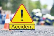 शहपुरा में पलटा लोडिंग ऑटो : टेंट कर्मी की दर्दनाक मौत, दूसरा घायल 10 946419 accident