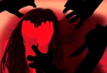 alavara 0 sixteen nine