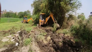 history sheet nh 1648971324