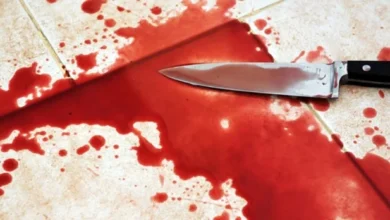 murder shimla 1495972580