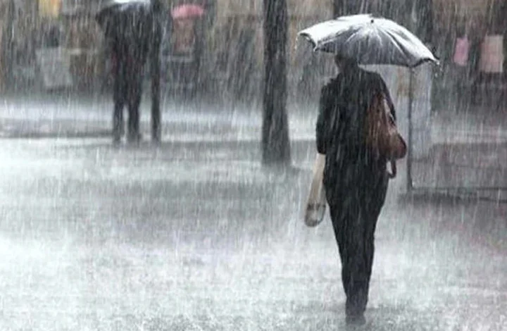 मौसम का बड़ा अलर्ट : अगले 24 घंटे में 10 जिलों में बारिश के आसार 1 uttarakhand rain