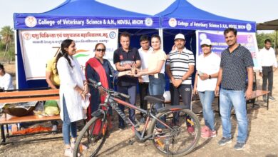 191cca84 40e7 4c7f a184 36852d82beee